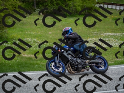 202505181259-DSC_0281_c2