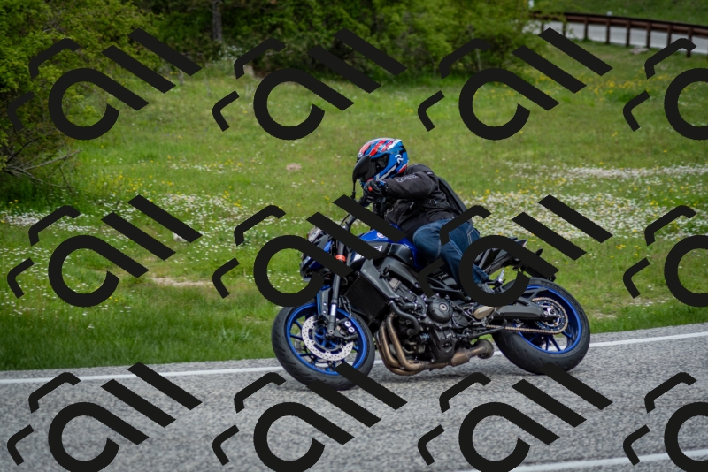 202505181259-DSC_0281_c2