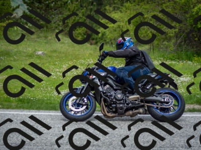 202505181259-DSC_0282_c2