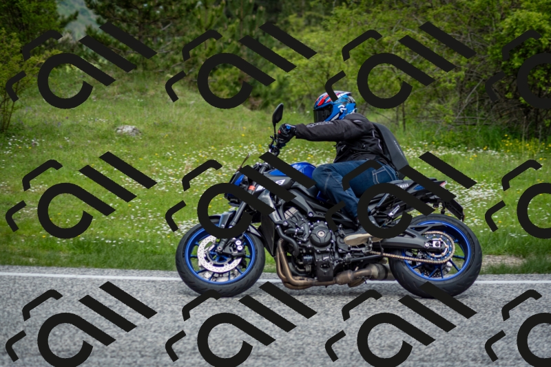 202505181259-DSC_0282_c2