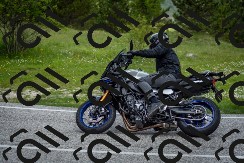 202505181259-DSC_0285_c2