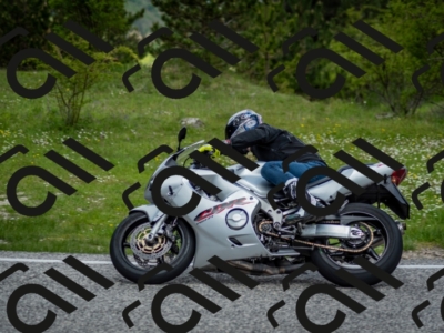 202505181259-DSC_0288_c2