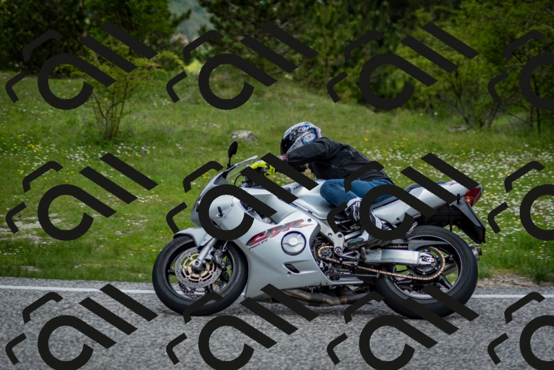 202505181259-DSC_0288_c2