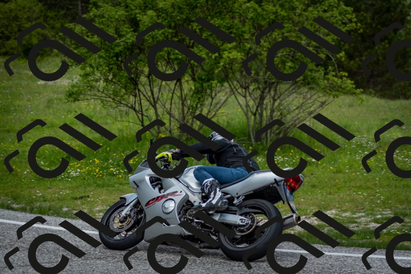 202505181259-DSC_0289_c2