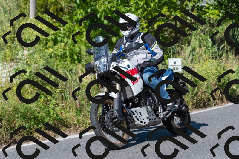 20250517093558-R013299_r1