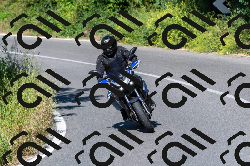 20250517094838-R013317_r1