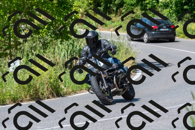 20250517111305-R01_4190_r1