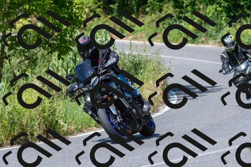 20250517113145-R01_4274_r1