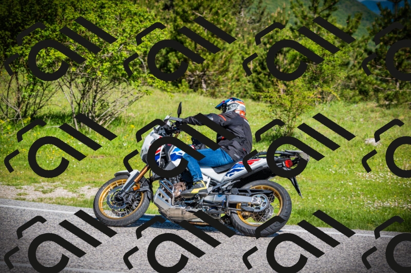 202505170905-DSC03396_c1_