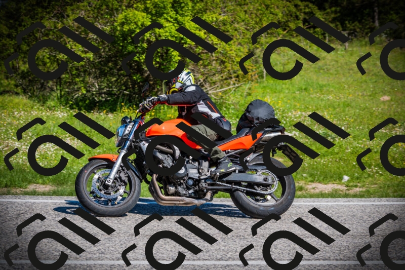 202505170911-DSC03402_c1_