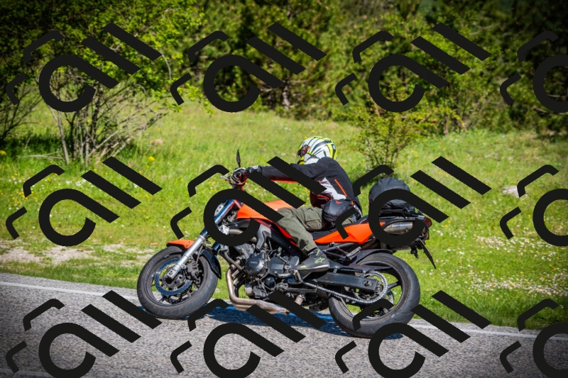 202505170911-DSC03403_c1_