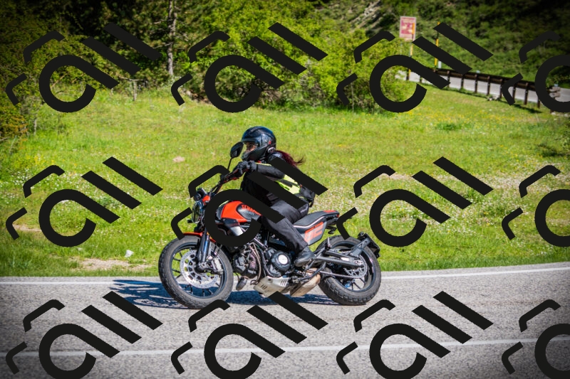 202505170911-DSC03408_c1_