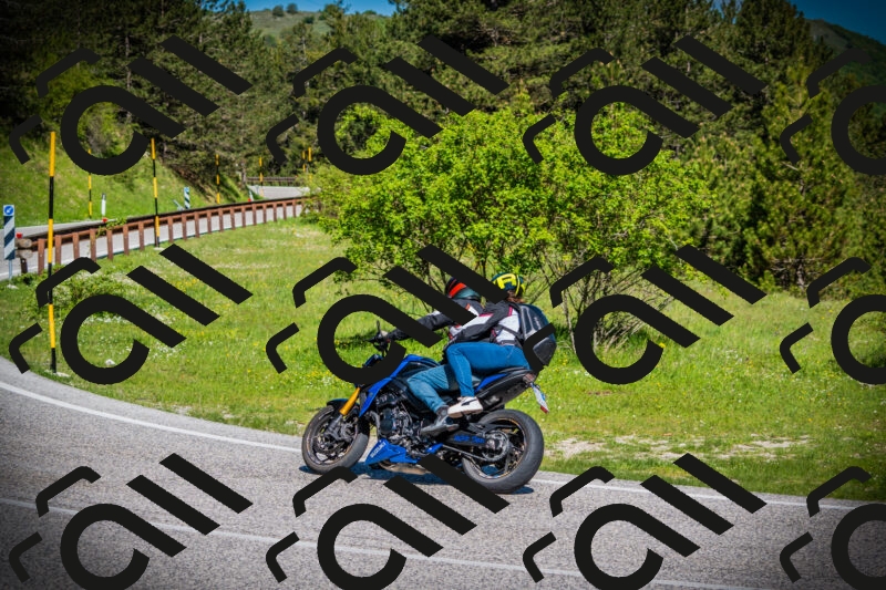 202505170912-DSC03418_c1_