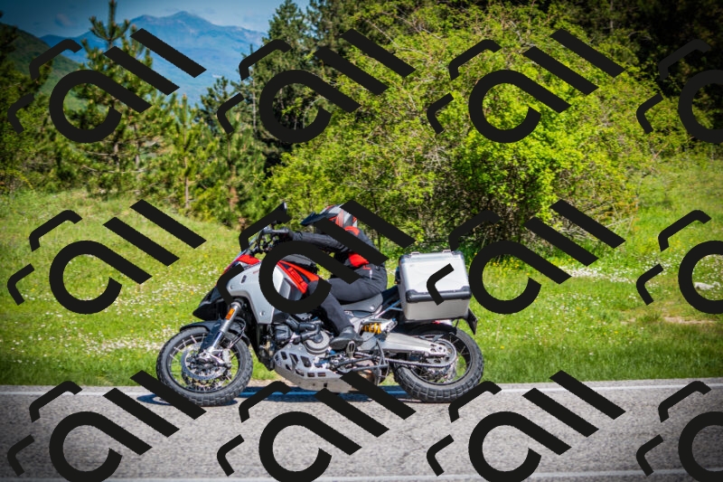 202505170920-DSC03433_c1_