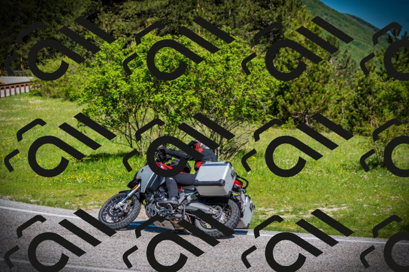 202505170920-DSC03434_c1_