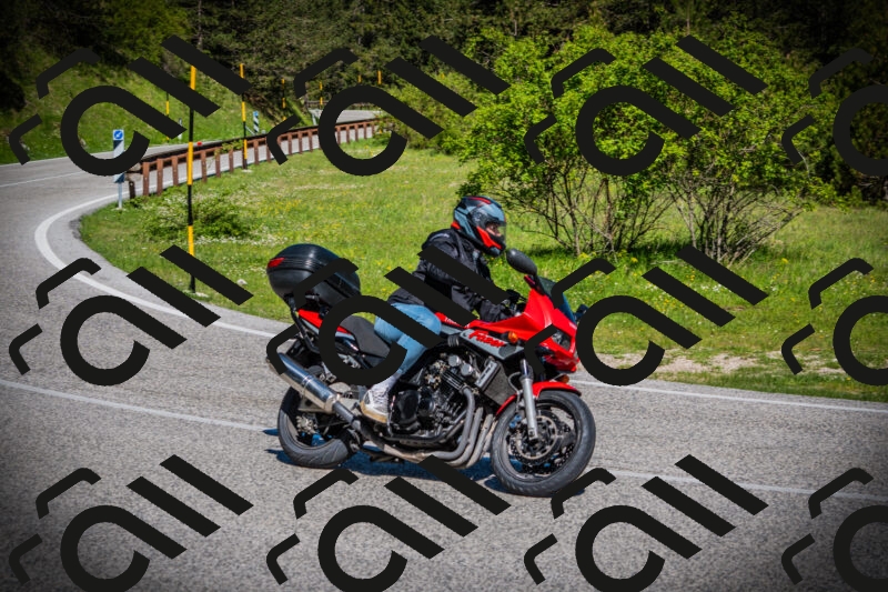 202505170921-DSC03443_c1_