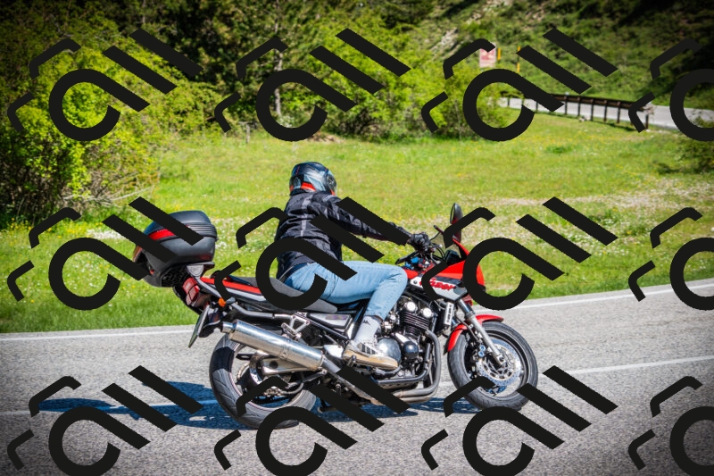 202505170921-DSC03444_c1_