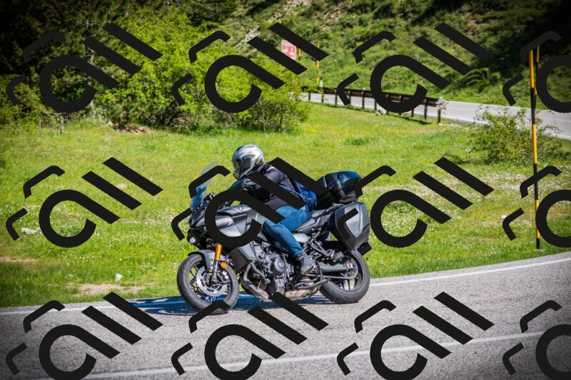 202505170922-DSC03449_c1_