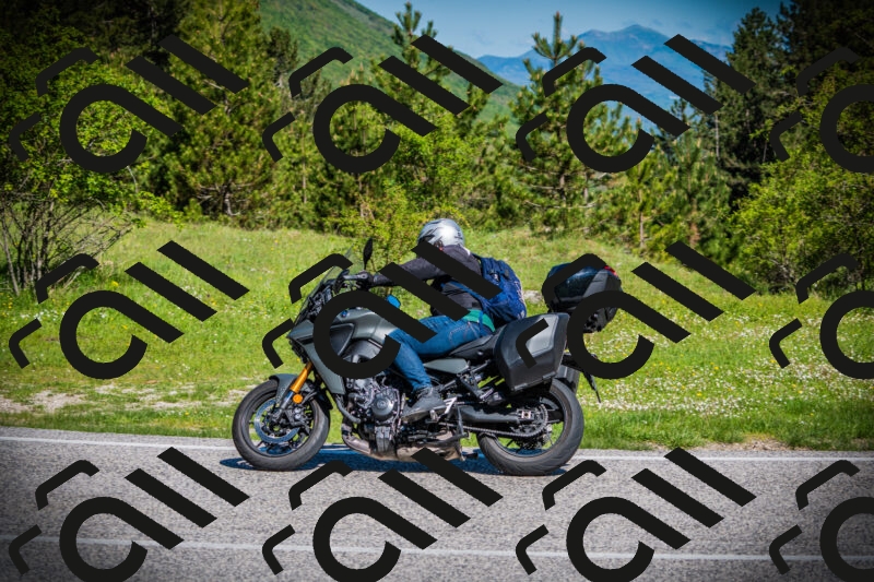 202505170922-DSC03450_c1_