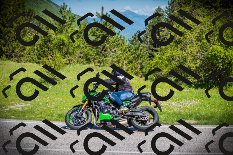 202505170929-DSC03460_c1_