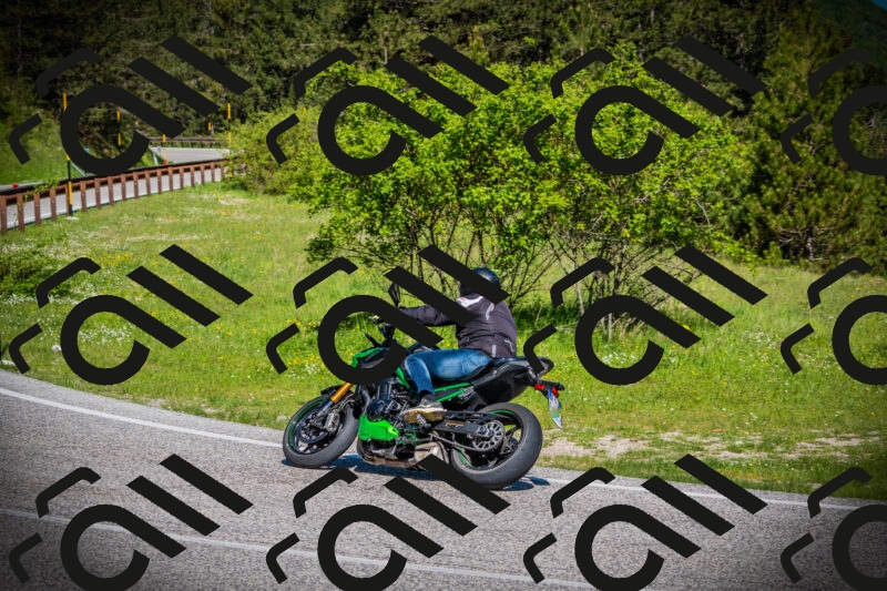 202505170929-DSC03461_c1_