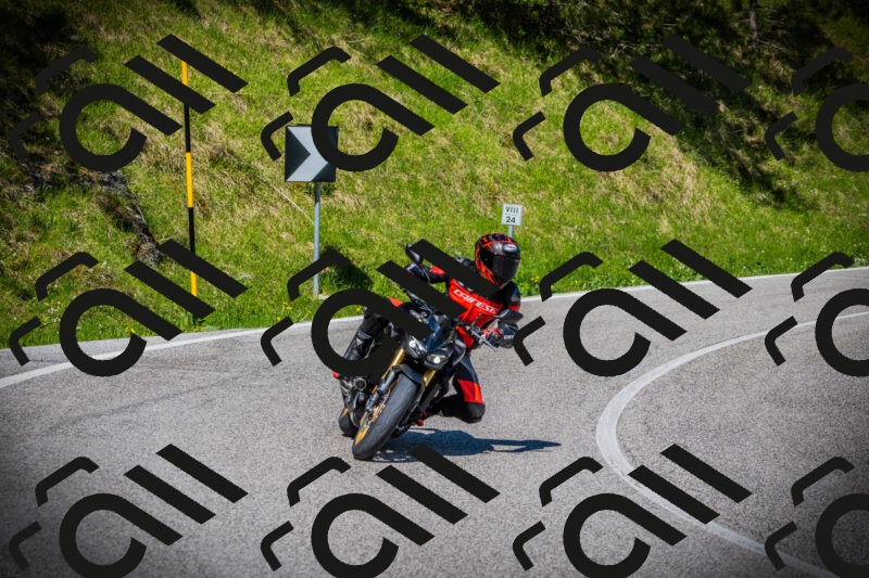 202505170929-DSC03464_c1_