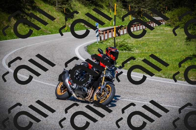 202505170929-DSC03465_c1_