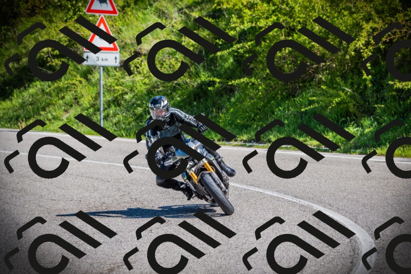 202505170931-DSC03469_c1_