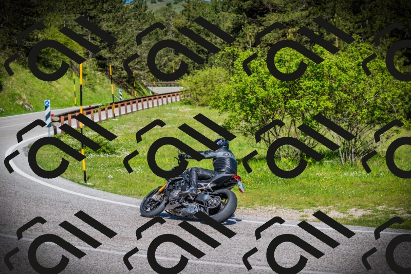 202505170931-DSC03473_c1_