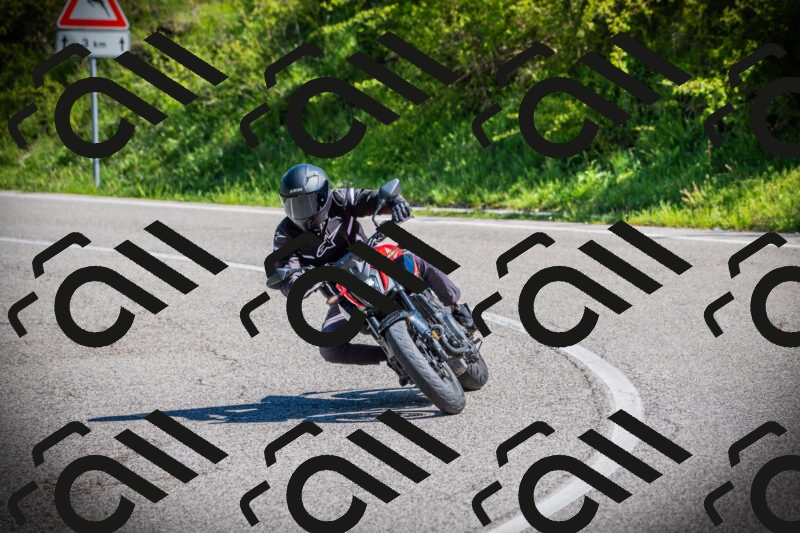 202505170931-DSC03475_c1_