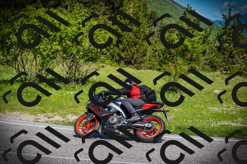 202505170942-DSC03585_c1_