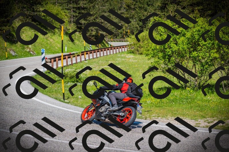 202505170942-DSC03586_c1_