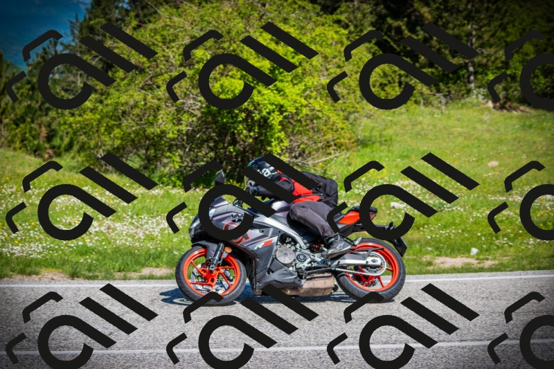 202505170944-DSC03615_c1_