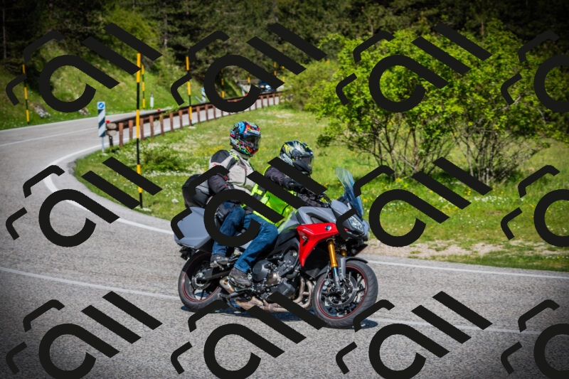 202505170949-DSC03632_c1_