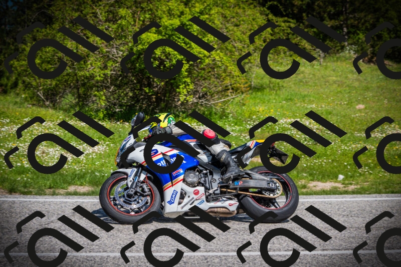 202505170951-DSC03658_c1_