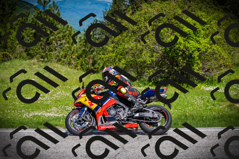 202505170952-DSC03665_c1_