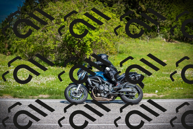 202505170952-DSC03672_c1_