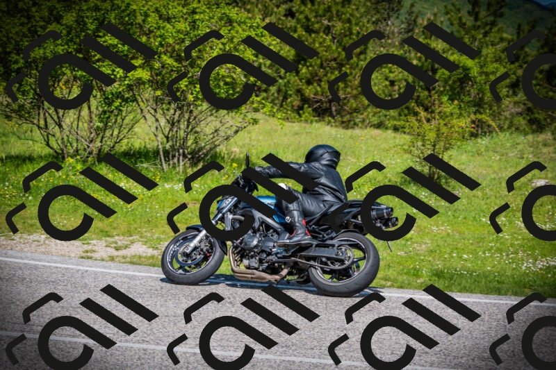 202505170952-DSC03673_c1_