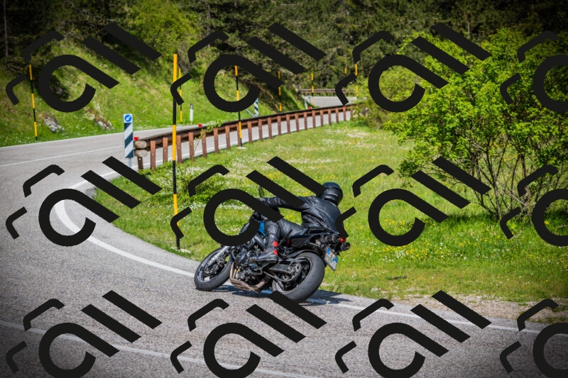 202505170952-DSC03674_c1_