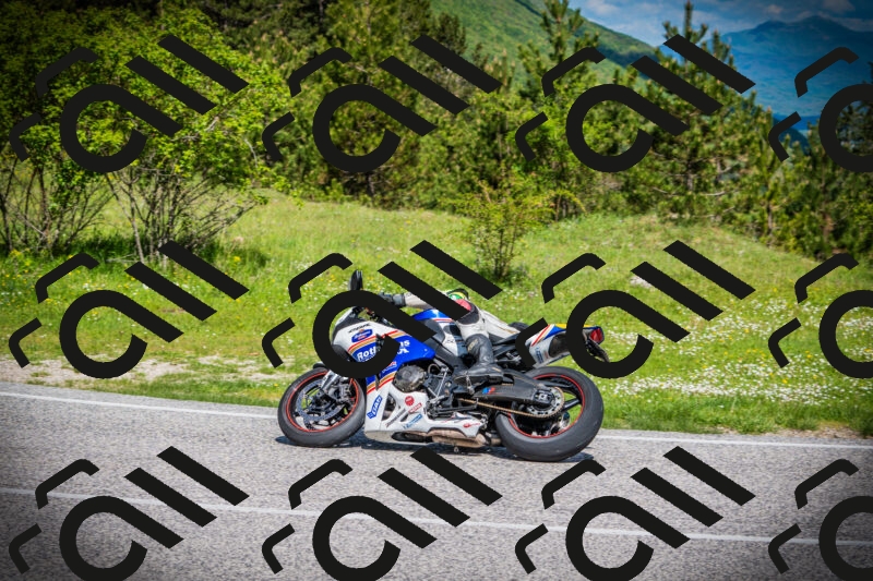 202505170957-DSC03686_c1_