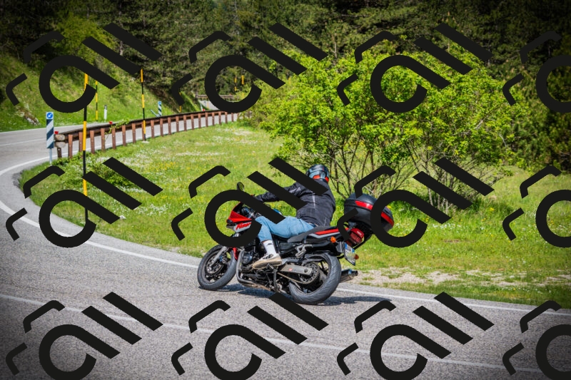 202505170958-DSC03711_c1_