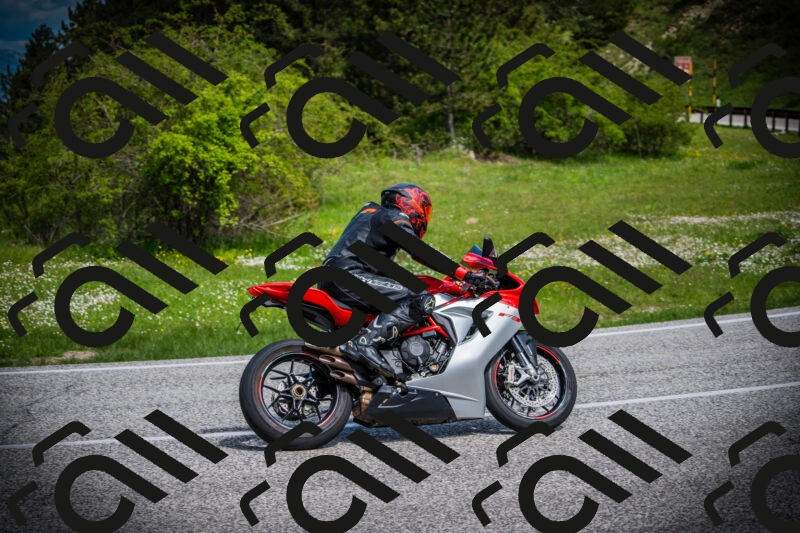 202505171002-DSC03761_c1_