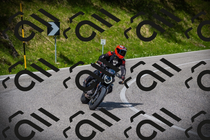 202505171004-DSC03771_c1_