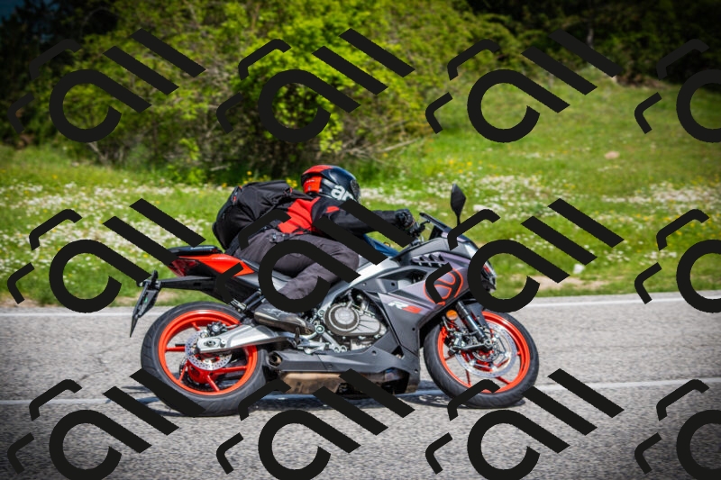 202505171004-DSC03786_c1_