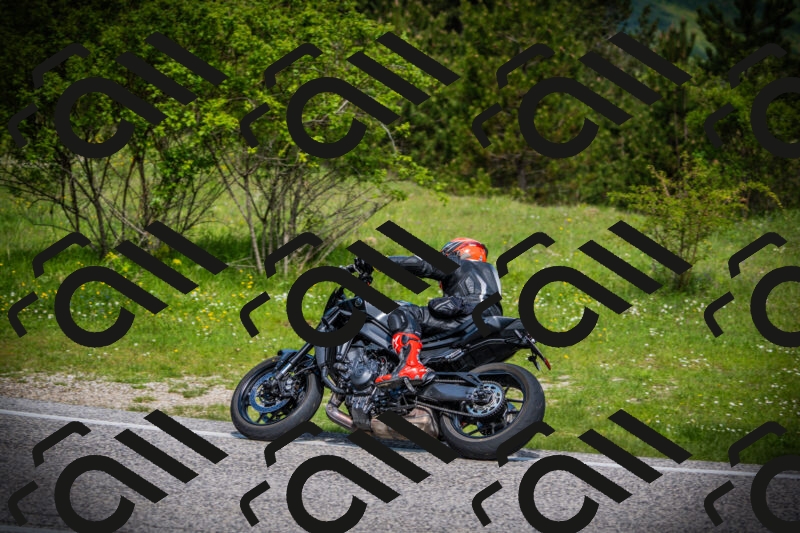 202505171005-DSC03792_c1_