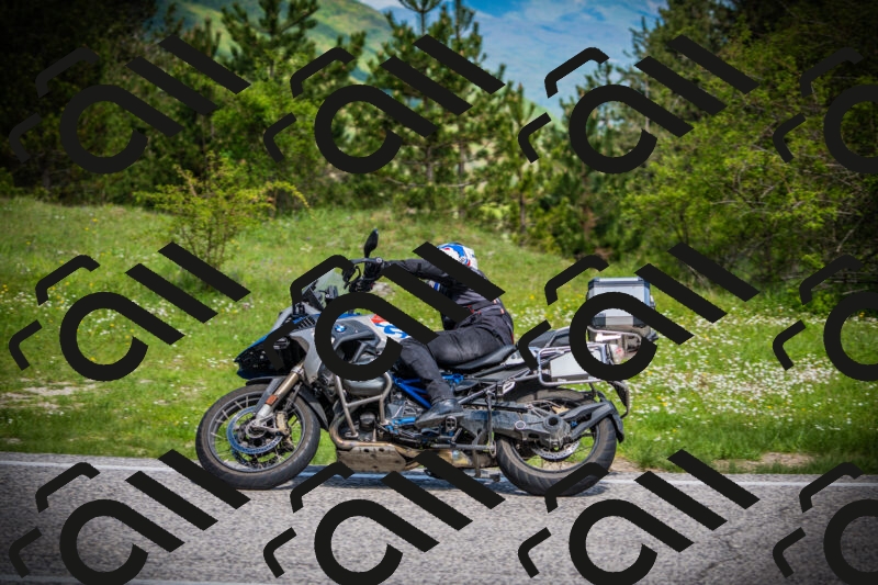 202505171005-DSC03796_c1_