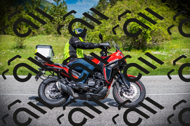 202505171005-DSC03808_c1_