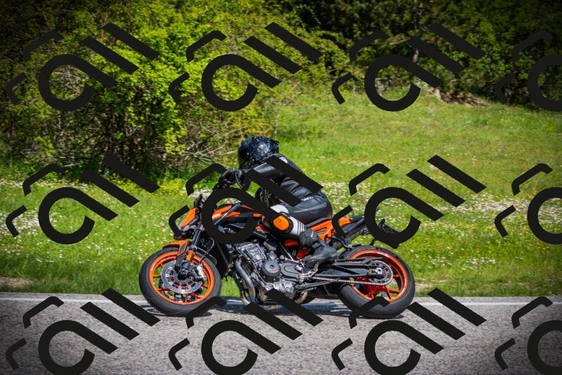 202505171007-DSC03816_c1_