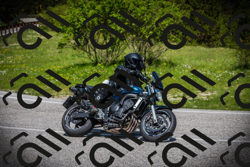 202505171009-DSC03831_c1_