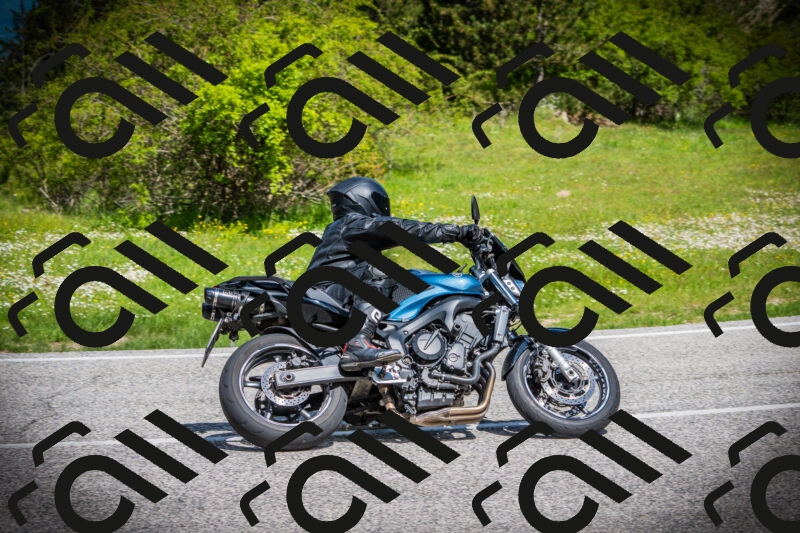 202505171009-DSC03832_c1_